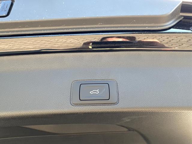 Cupra / Terramar / / / / 
