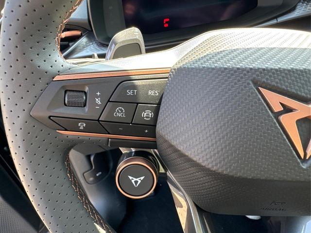 Cupra / Terramar / / / / 