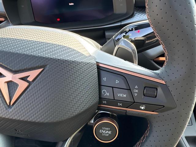 Cupra / Terramar / / / / 