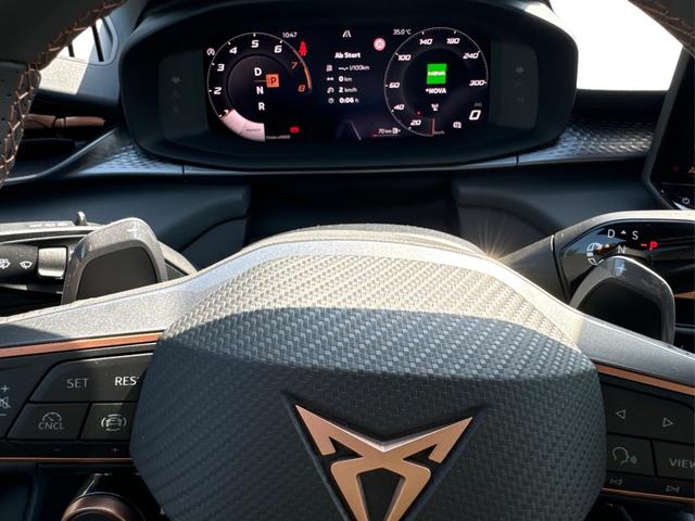 Cupra / Terramar / / / / 