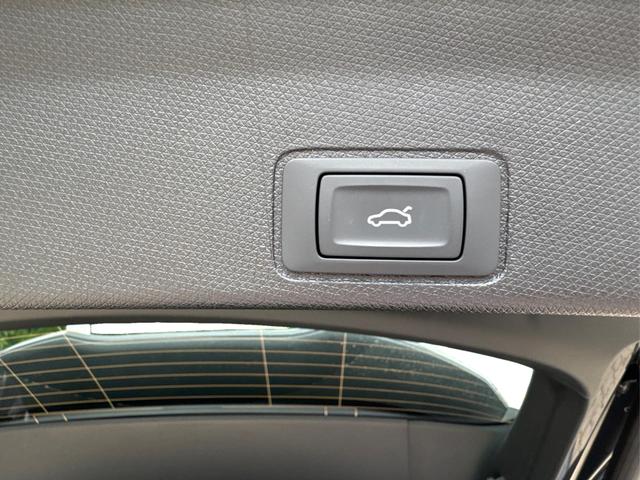Cupra / Terramar / / / / 