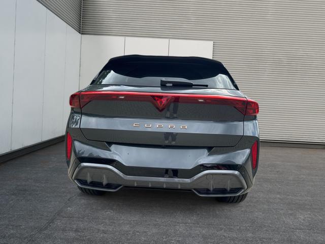 Cupra / Terramar / / / / 