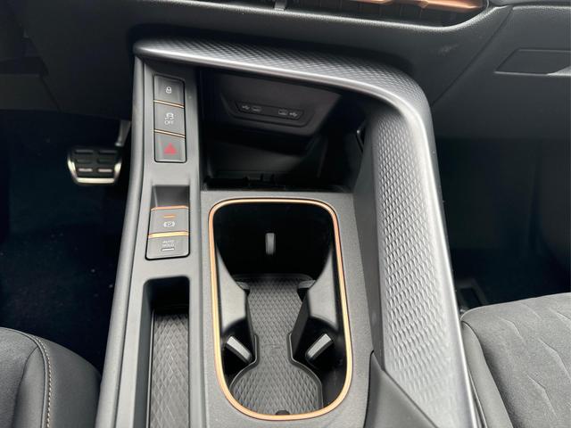 Cupra / Terramar / / / / 