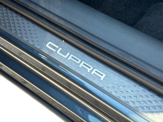 Cupra / Formentor / Grau / / / 4Drive KAMERA+EL. HECK.+VOLL-LED+ACC