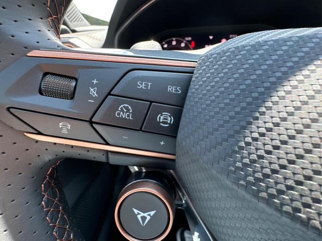 Cupra / Formentor / Grau / / / 4Drive KAMERA+EL. HECK.+VOLL-LED+ACC