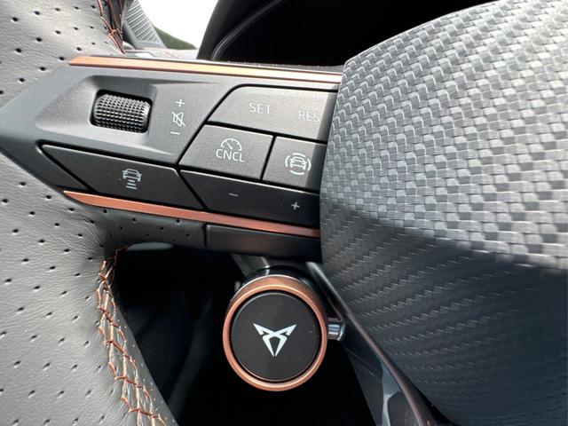 Cupra / Formentor / Schwarz / / / 4Drive KAMERA+EL. HECK.+VOLL-LED+ACC