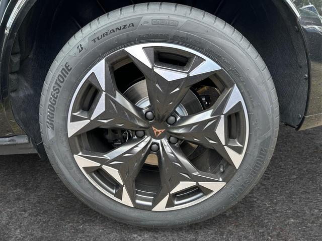 Cupra / Terramar / / / / 