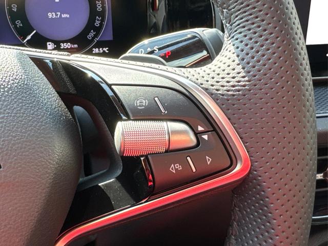 Skoda / Kodiaq / Grau / / / DSG+AHK+EL. HECKKL.+NAVI+ACC+KAMERA+19 LM
