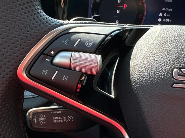 Skoda / Kodiaq / Grau / / / DSG+AHK+EL. HECKKL.+NAVI+ACC+KAMERA+19 LM