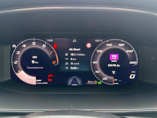 Cupra / Formentor / Grau / / / KAMERA+EL. HECKKL.+VOLL-LED+ACC+18 LM+SHZ