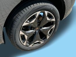 Cupra Terramar VZ 4Drive KAMERA+ACC+EL. HECKKL.+VOLL-LED+19" ALU 