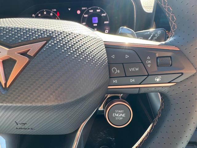 Cupra / Leon Sportstourer / Grau / / / VZ ST NAVI+KAMERA+EL.HECKKL.+ACC+19ALU