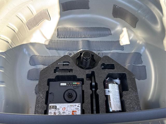 Cupra / Leon Sportstourer / Grau / / / VZ ST NAVI+KAMERA+EL.HECKKL.+ACC+19ALU