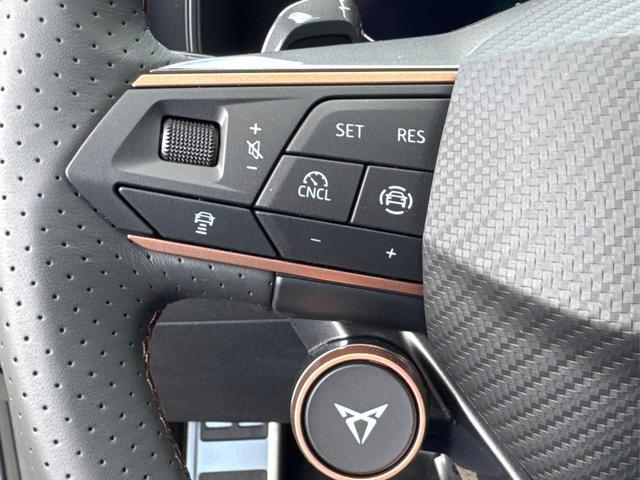 Cupra / Leon Sportstourer / Grau / / / VZ ST NAVI+KAMERA+EL.HECKKL.+ACC+19ALU