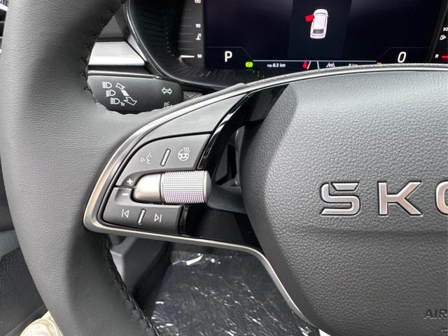 Skoda / Fabia / / / / ACC+SHZ+KAMERA+PDC+LED