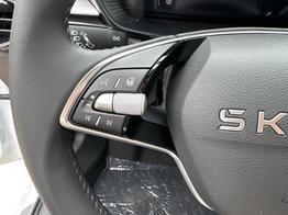 Skoda Fabia Selection ACC+SHZ+KAMERA+PDC+LED 