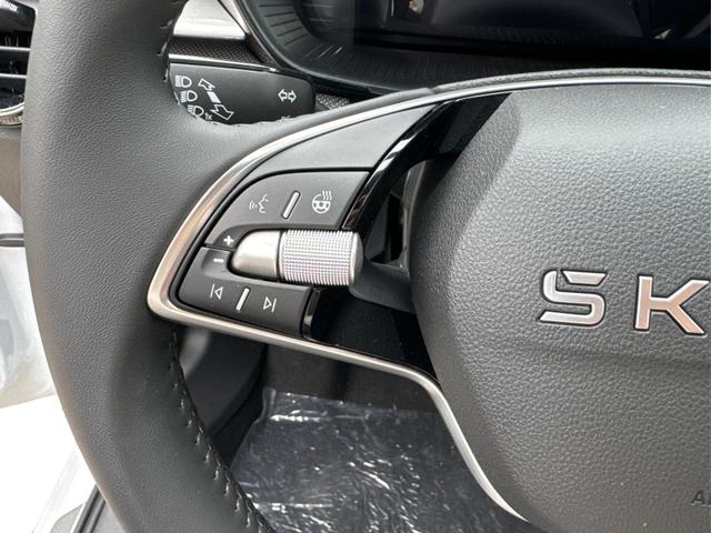 Skoda / Fabia / / / / ACC+SHZ+KAMERA+PDC+LED