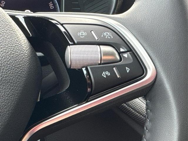 Skoda / Fabia / / / / ACC+SHZ+KAMERA+PDC+LED