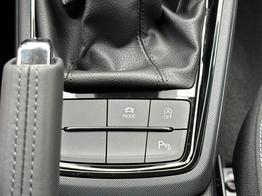 Skoda Kamiq Selection DSG+ACC+SHZ+RFK+PDC+KESSY+SUNSET 