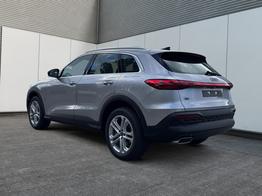 Audi Q5 Basis AHK+ACC+RFK+19"ALU+NAVI 