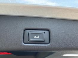 Audi Q5 Basis AHK+ACC+RFK+19"ALU+NAVI 