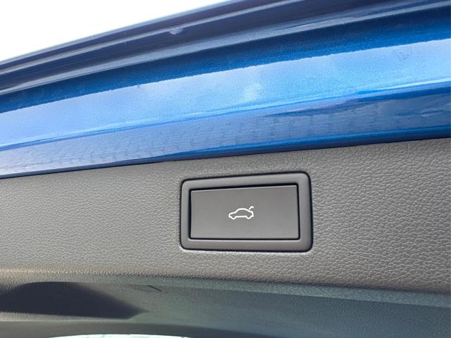 Skoda / Kamiq / Blau / / / ACC+EL.HECKKL.+SHZ+LED