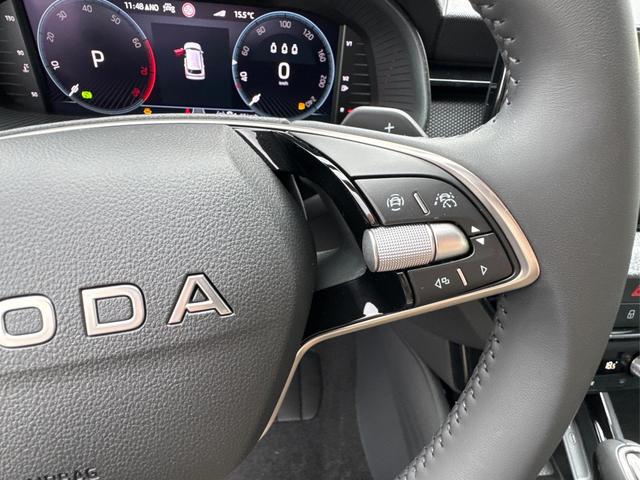 Skoda / Kamiq / Blau / / / ACC+EL.HECKKL.+SHZ+LED