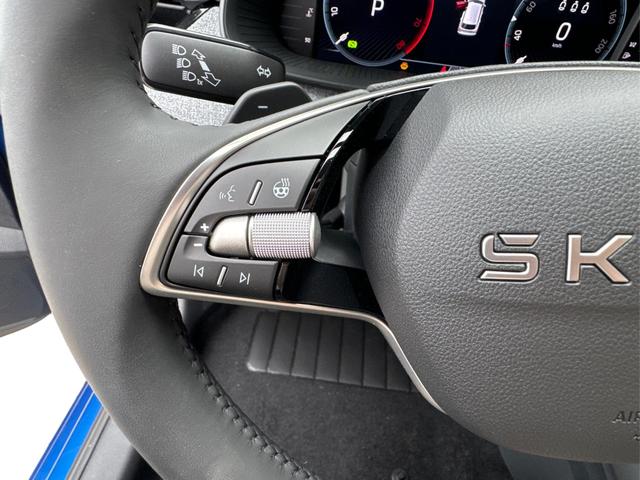 Skoda / Kamiq / Blau / / / ACC+EL.HECKKL.+SHZ+LED