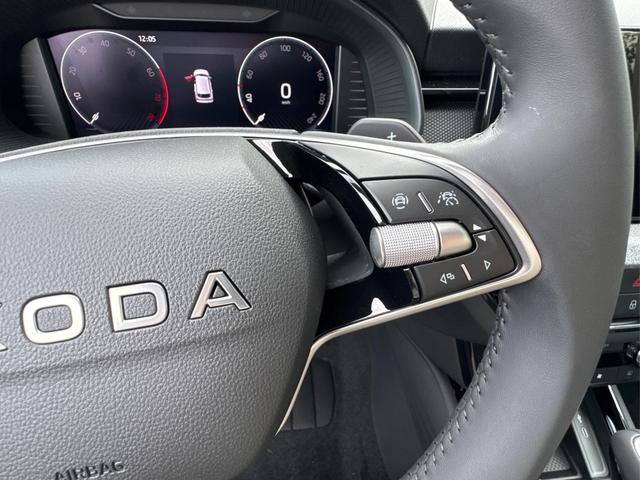 Skoda / Kamiq / Grau / / / ACC+EL.HECKKL.+SHZ+LED