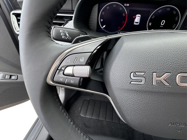 Skoda / Kamiq / Grau / / / ACC+EL.HECKKL.+SHZ+LED