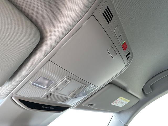 Skoda / Kamiq / Grau / / / ACC+EL.HECKKL.+SHZ+LED
