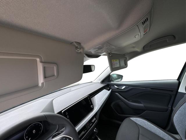 Skoda / Kamiq / Grau / / / ACC+EL.HECKKL.+SHZ+LED