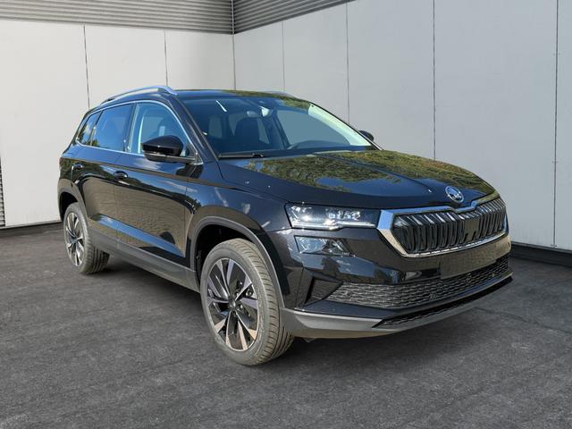 Skoda / Karoq / / / / 