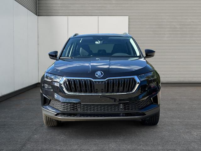 Skoda / Karoq / / / / 