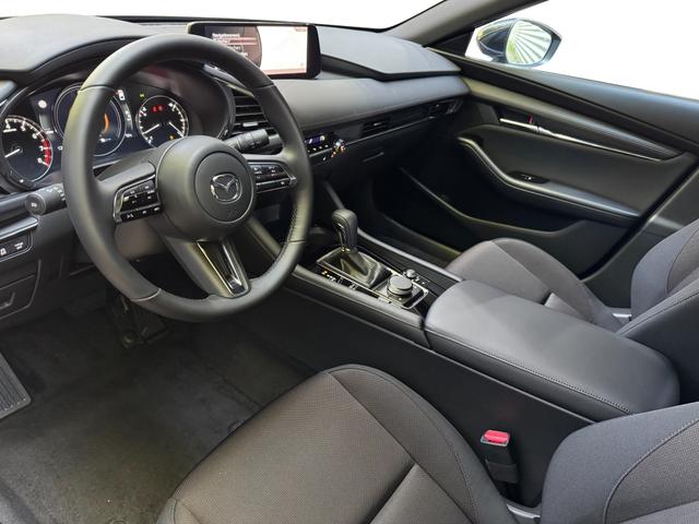 Beispielbilder, ggf. teilweise mit Sonderausstattung