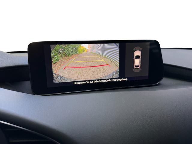 Beispielbilder, ggf. teilweise mit Sonderausstattung