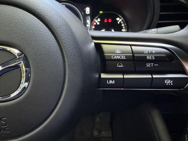 Beispielbilder, ggf. teilweise mit Sonderausstattung