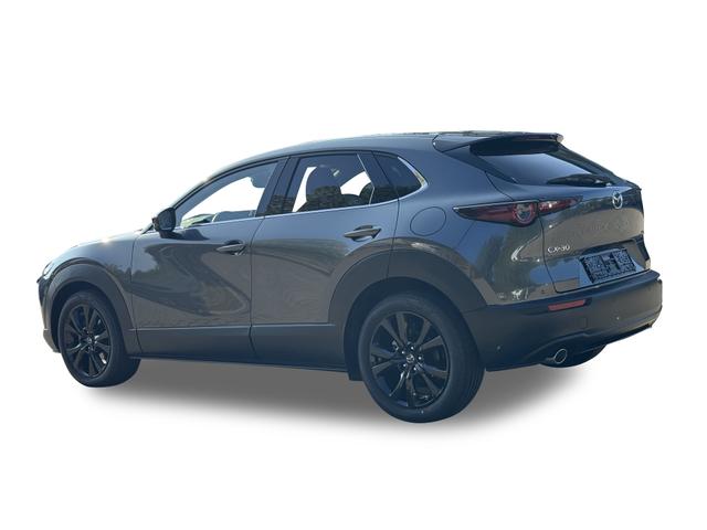 Mazda CX-30 Nagisa LEDER+BOSE+HUD+NAVI+SHZ+KAMERA+LED+18" 