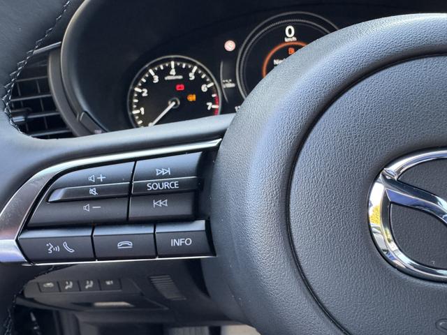 CX-30 Nagisa LEDER+BOSE+HUD+NAVI+SHZ+KAMERA+LED+18" 