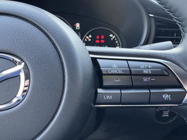 CX-30 Nagisa LEDER+BOSE+HUD+NAVI+SHZ+KAMERA+LED+18" 