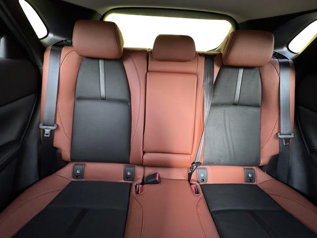 CX-30 Nagisa LEDER+BOSE+HUD+NAVI+SHZ+KAMERA+LED+18" 