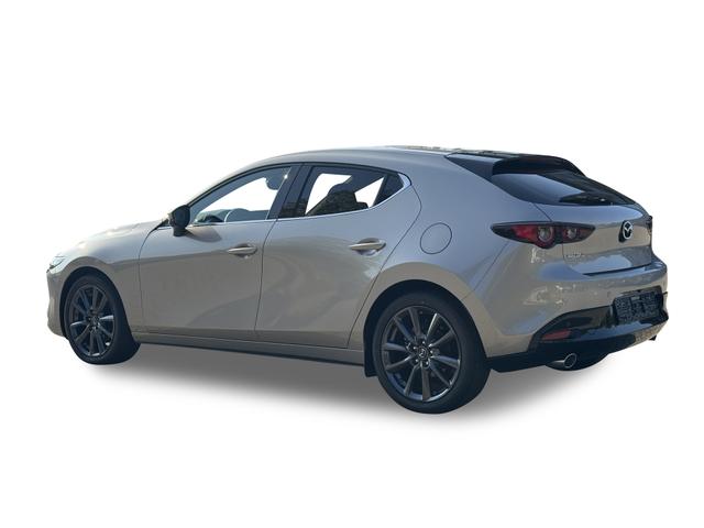 Beispielbilder, ggf. teilweise mit Sonderausstattung