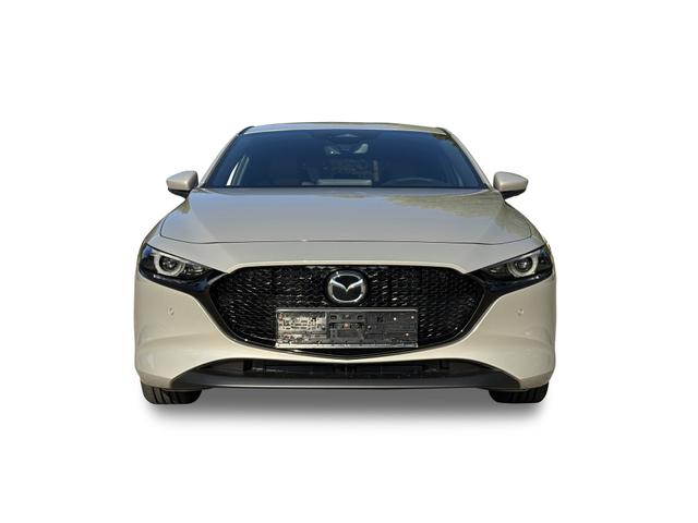 Beispielbilder, ggf. teilweise mit Sonderausstattung