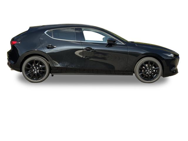 Beispielbilder, ggf. teilweise mit Sonderausstattung