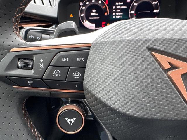 Cupra / Terramar / Schwarz / / / 4Drive SENNHEISER+MATRIX-LED+MEMORY+KAMERA+ACC+EL.HECKKL.
