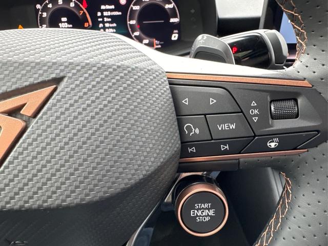 Cupra / Terramar / Schwarz / / / 4Drive SENNHEISER+MATRIX-LED+MEMORY+KAMERA+ACC+EL.HECKKL.