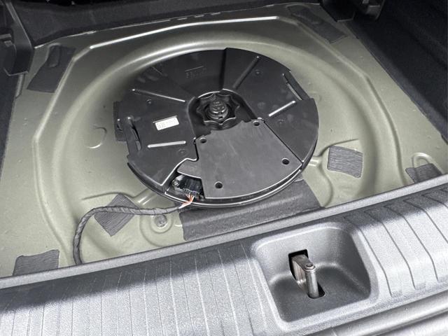 Cupra / Terramar / Grau / / / 4Drive SENNHEISER+MATRIX+MEMORY+KAM+LED+ACC+EL.HECKKL.