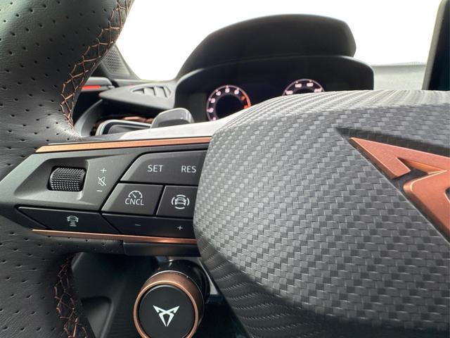 Cupra / Terramar / Grau / / / 4Drive SENNHEISER+MATRIX+MEMORY+KAM+LED+ACC+EL.HECKKL.