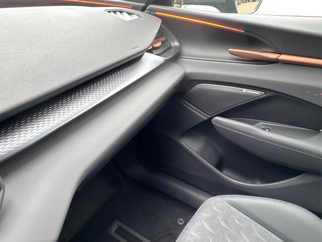 Cupra / Terramar / Grau / / / 4Drive SENNHEISER+MATRIX+MEMORY+KAM+LED+ACC+EL.HECKKL.
