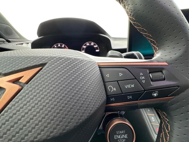 Cupra / Terramar / Grau / / / 4Drive SENNHEISER+MATRIX+MEMORY+KAM+LED+ACC+EL.HECKKL.